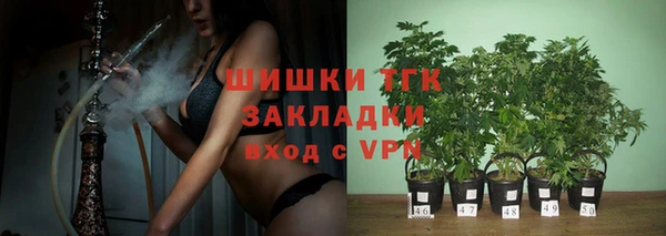 apvp Богородицк