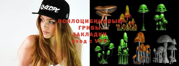 spice Белокуриха