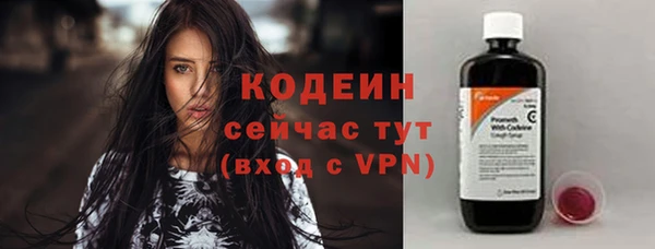 прущий лед Богданович
