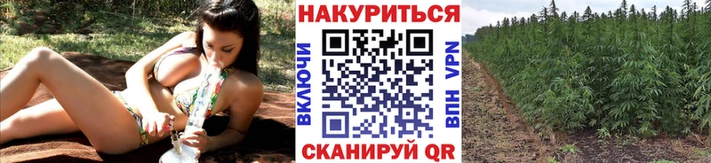 Бошки марихуана конопля  где купить наркоту  Белгород 